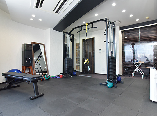 Functional trainig gym NEXUS
